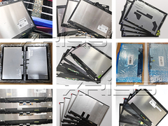 Assembleia Plenária