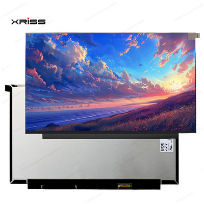 qualidade  13.3 Inch Touch Screen For Lenovo ThinkBook 13x ITG Notebook PC Digitizer Assembly Replacement fábrica